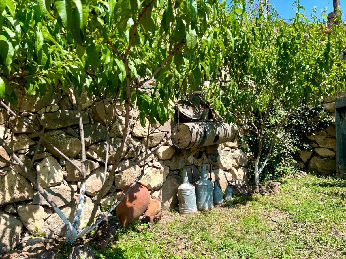 Igor Bed And Breakfast Halidzor Εξωτερικό φωτογραφία