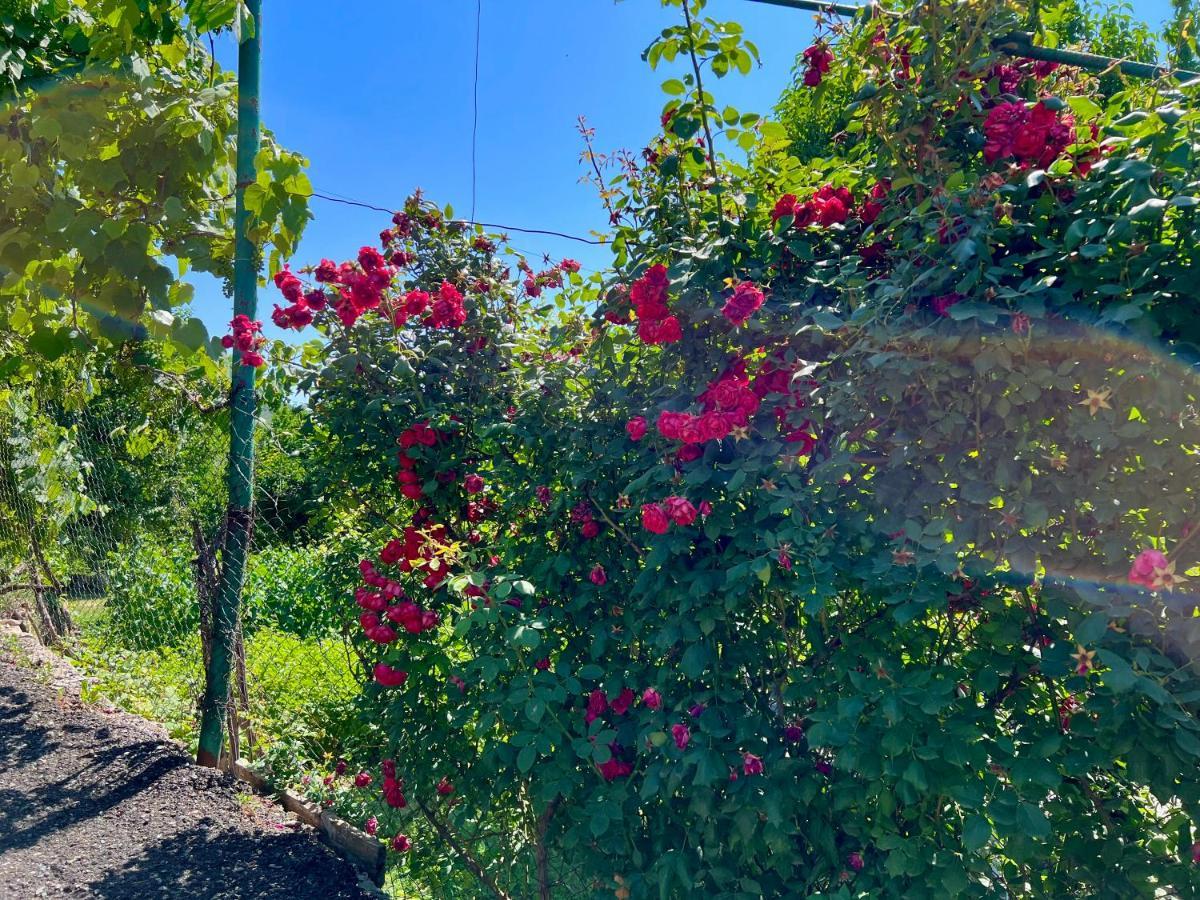 Igor Bed And Breakfast Halidzor Εξωτερικό φωτογραφία
