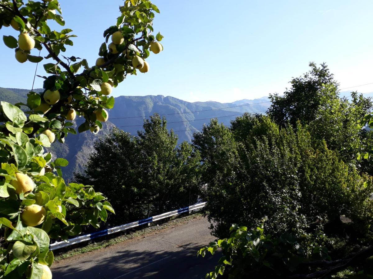 Igor Bed And Breakfast Halidzor Εξωτερικό φωτογραφία